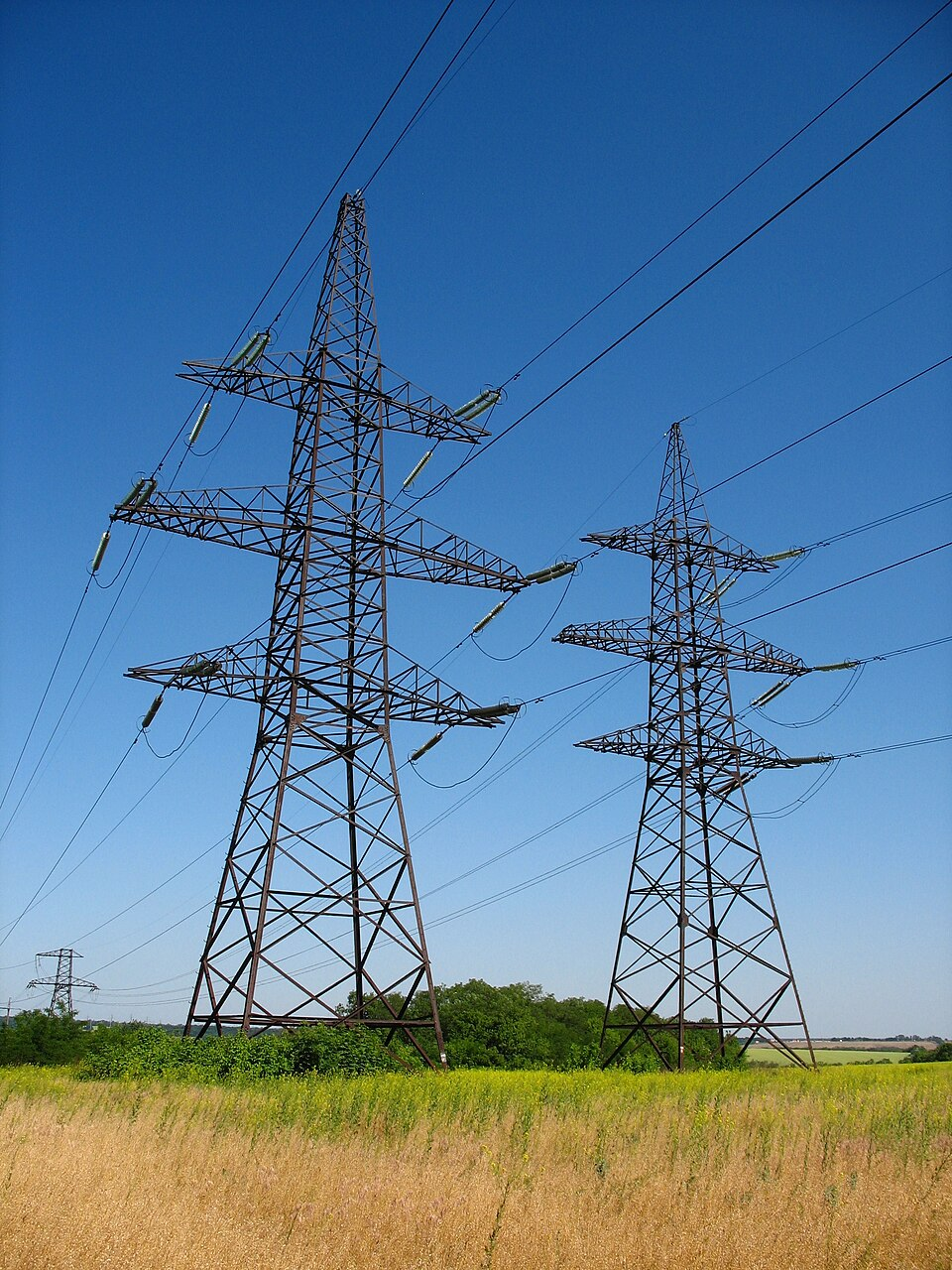 1763362680804901.png 202511174.png